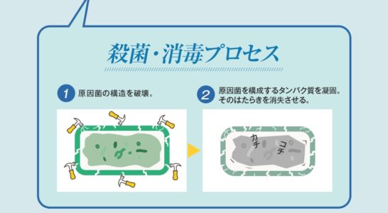 クリアストロングショットアルファ 効果ロジック 3